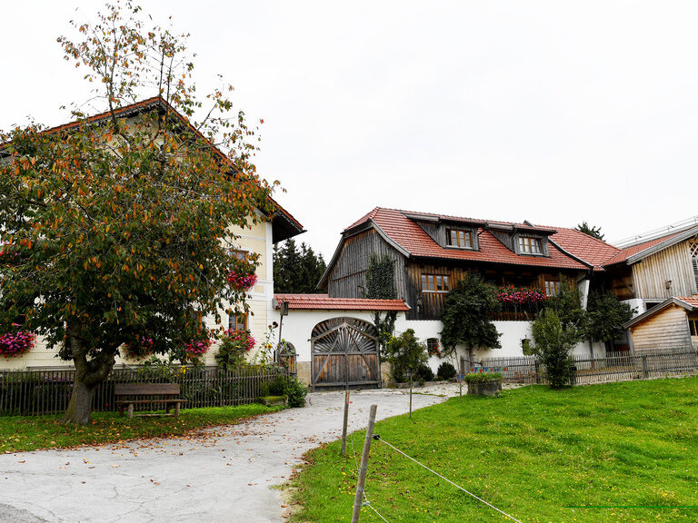 Das charmante Hofgebäude des Familienhofs, gesehen hinter einem idyllischen Apfelbaum und Wiese.