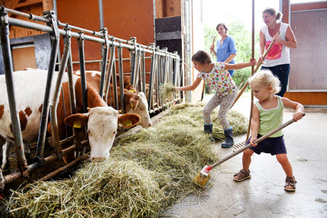 Bauernhoftiere hautnah erleben - auf dem Pfefferhof in Rinchnach! - Foto: A. Warmuth